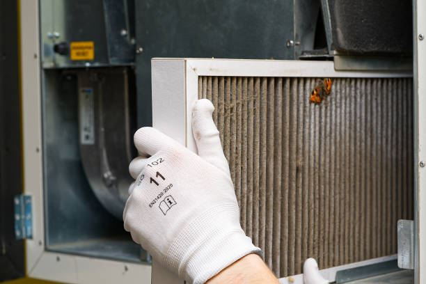 Best Commercial Air Duct Cleaning  in Mesquite, NV