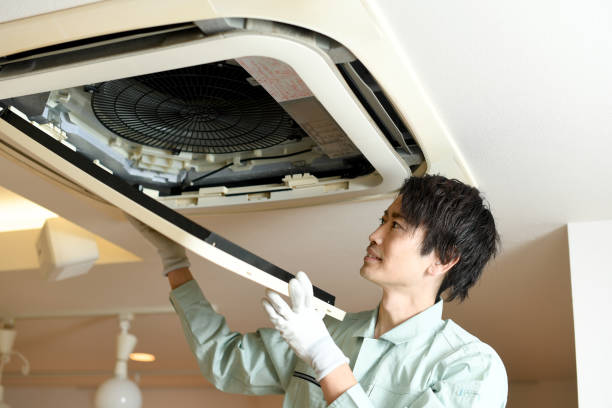 Best Affordable Air Duct Cleaning  in Mesquite, NV