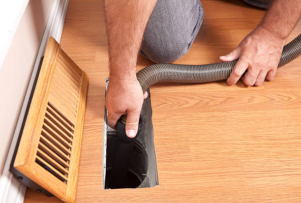 Air Duct Mold Removal in Mesquite, NV