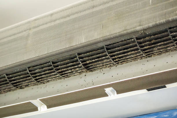 Best Local Air Duct Cleaning Services  in Mesquite, NV